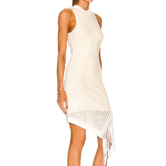 JONATHAN SIMKHAI CHELLE COMPACT POINTELLE LEATHER FRINGE  IVORY DRESS  sz XL - Picture 3 of 6
